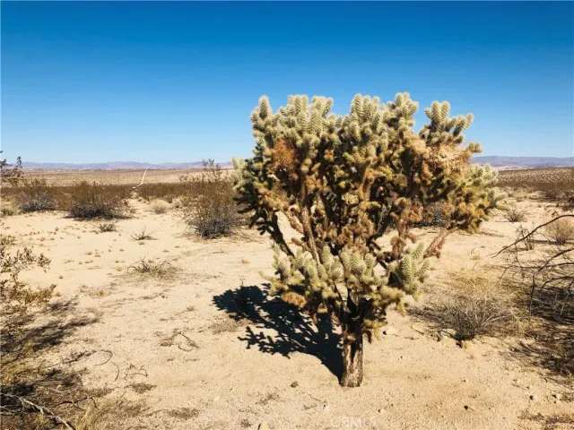 $16,500 | 5 Appian, Venice, CA 90291