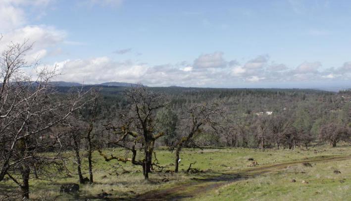 Miller Mountain Road Whitmore, CA 96096 - Photo 1 of 1 Miller Mountain