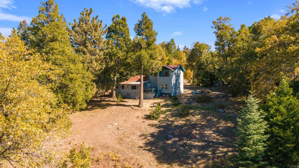 32787 Birch Hill Road Palomar Mountain, CA 92060 - Photo 3 of 44 a view of a yard with plants and trees