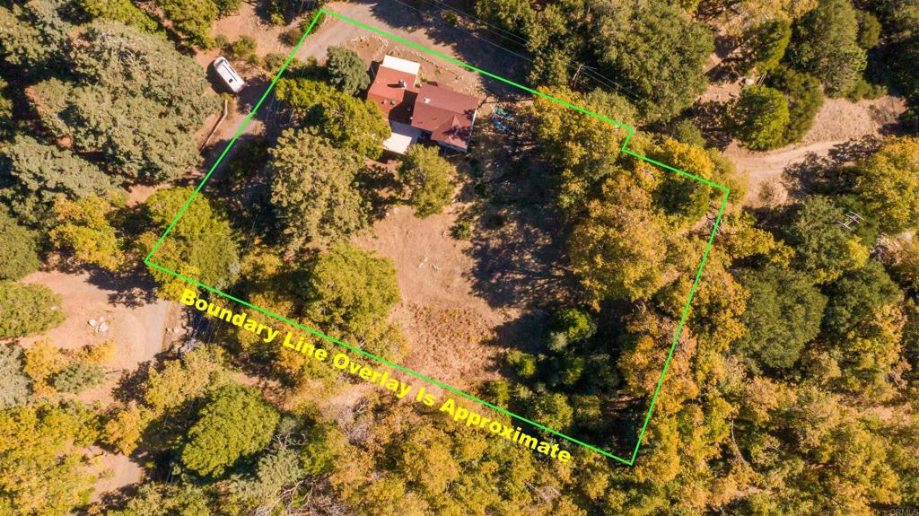 32787 Birch Hill Road Palomar Mountain, CA 92060 - Photo 4 of 44 a view of a tree