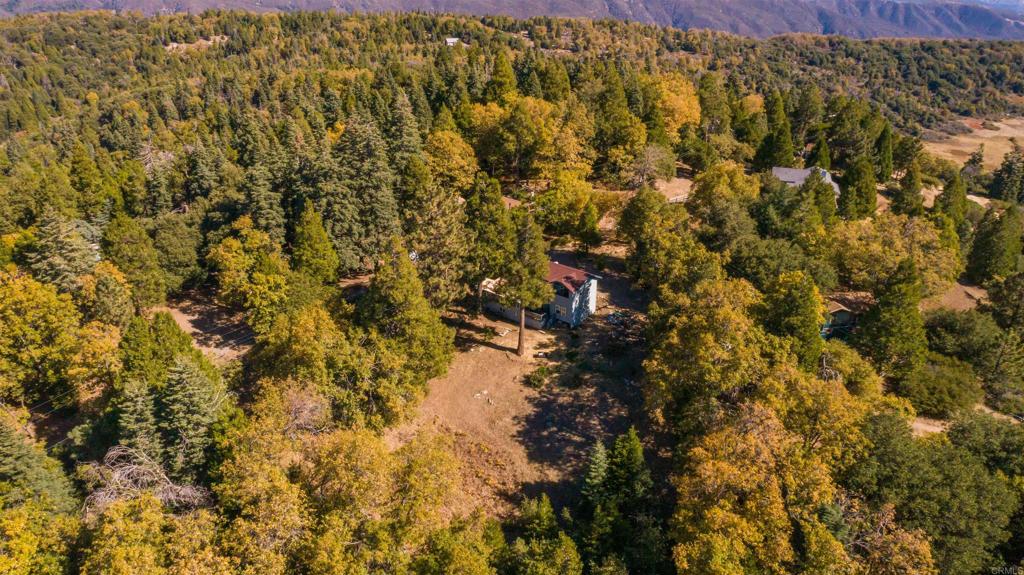 32787 Birch Hill Road Palomar Mountain, CA 92060 - Photo 42 of 44 a view of a yard