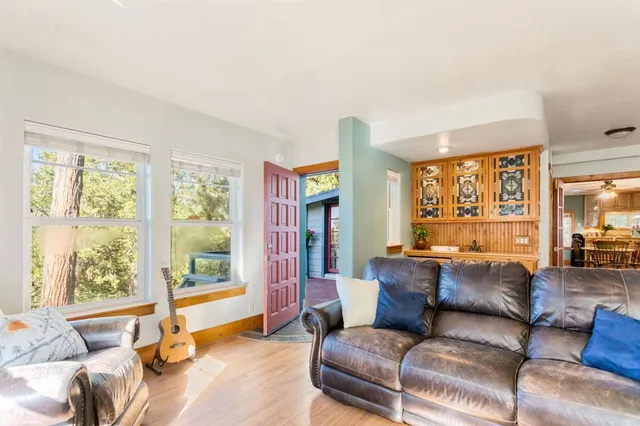 a view of a bunch of trees in a yard