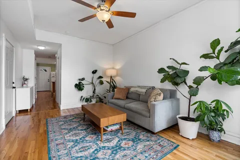a living room with furniture and a potted plant