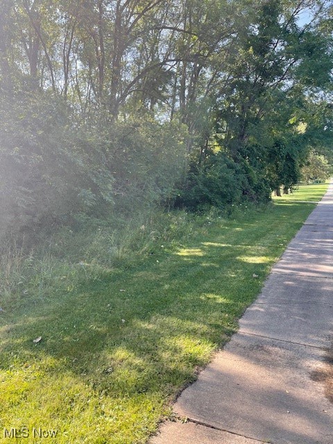 Brecksville Road Independence, OH 44131 - Photo 2 of 4 View of street