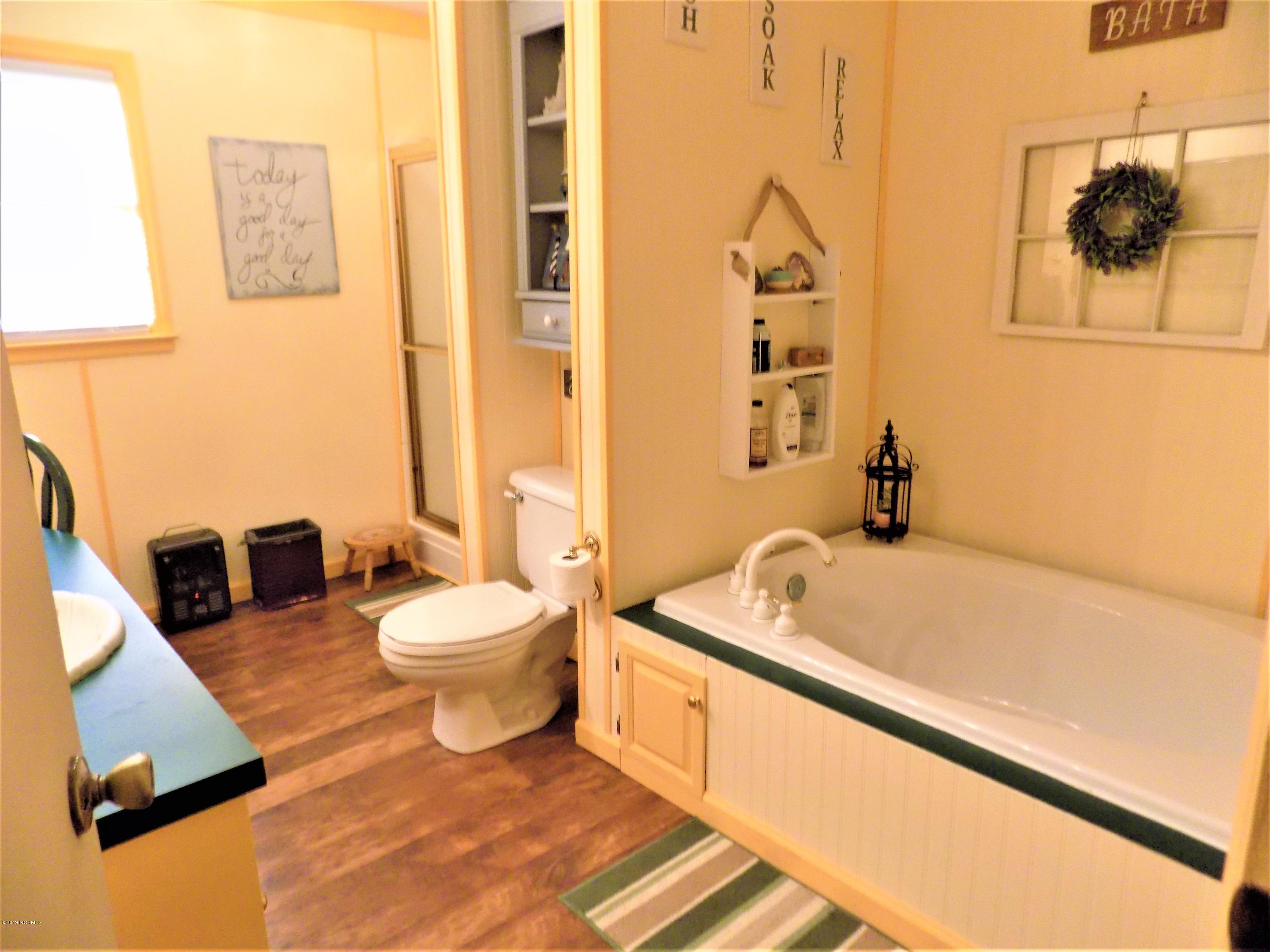 223 Cole Road Beulaville, NC 28518 - Photo 21 of 40 MASTER BATHROOM