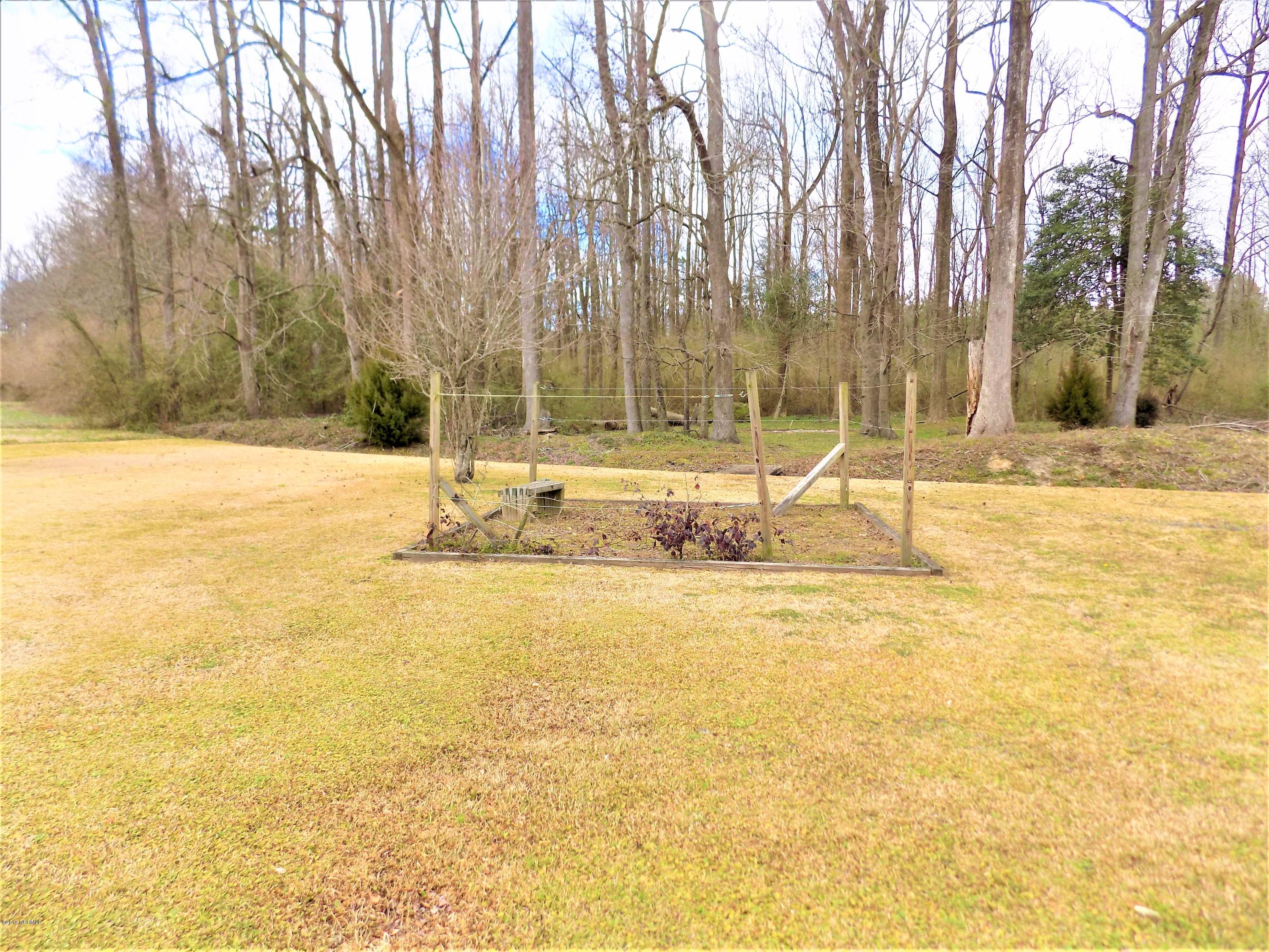 223 Cole Road Beulaville, NC 28518 - Photo 8 of 40 GRAPE VINE GARDEN