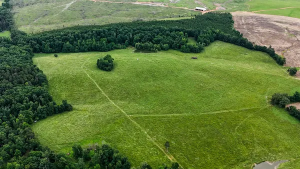 a view of a garden with a building in the background