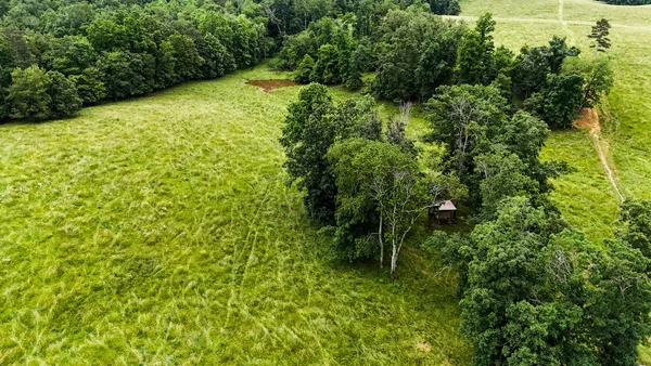 a view of a field with an ocean