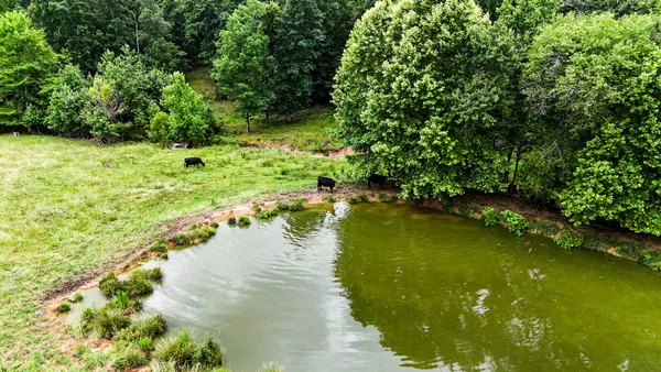 a backyard of a house with lots of green space