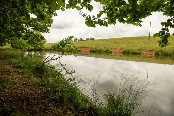 a backyard of a house with lots of plants and trees
