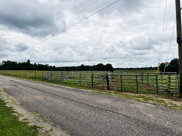 a view of outdoor space with lots of trees