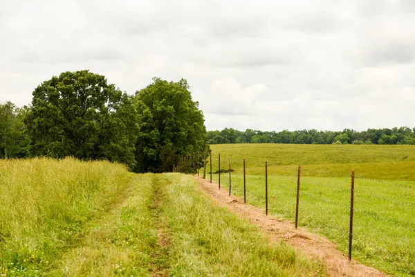 a view of a lake from a yard