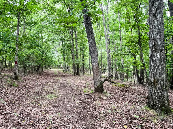 a view of backyard with tub