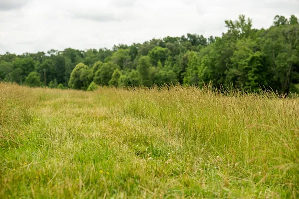 $629,000 | 0 David Patterson Road, Lutts, TN 38471
