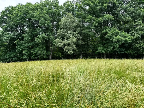 $629,000 | 0 David Patterson Road, Lutts, TN 38471