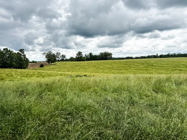 $629,000 | 0 David Patterson Road, Lutts, TN 38471