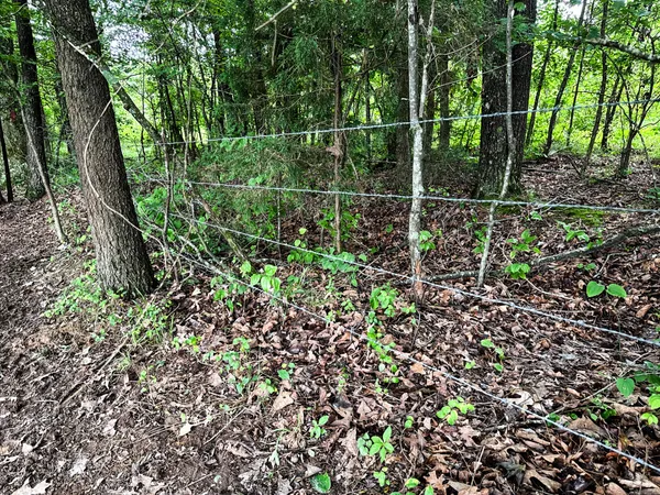 $629,000 | 0 David Patterson Road, Lutts, TN 38471