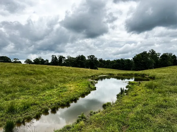 a view of a garden with a lake view