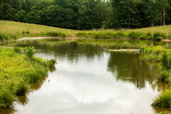 a view of outdoor space with lots of trees