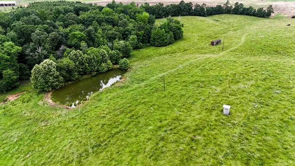 a view of a backyard of the house