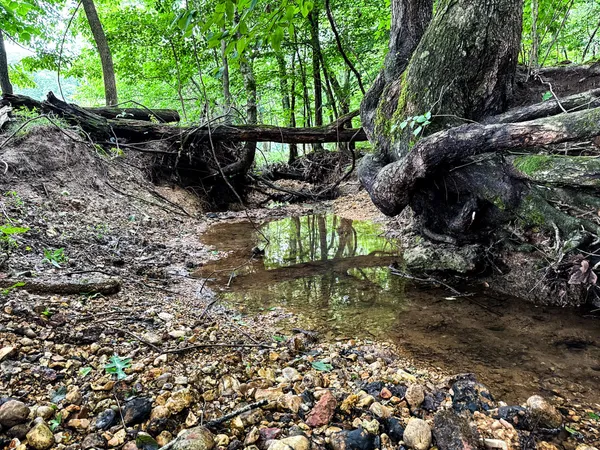 a view of yard with swimming pool and outdoor seating