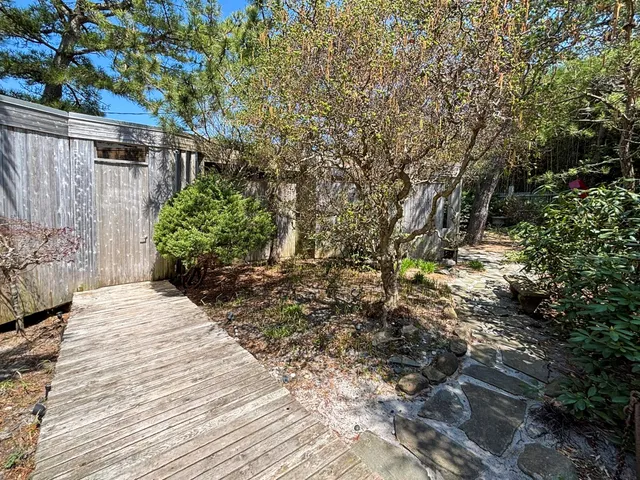 a view of a backyard