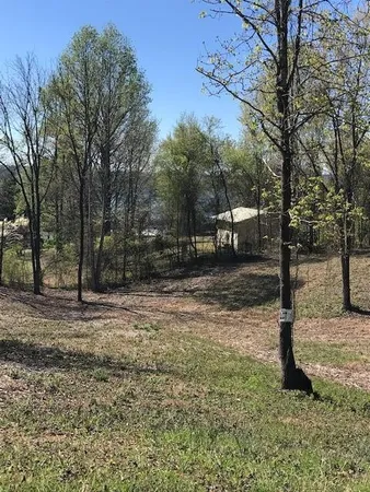 $40,000 | 11 Piney View Drive, Spring City, TN 37381
