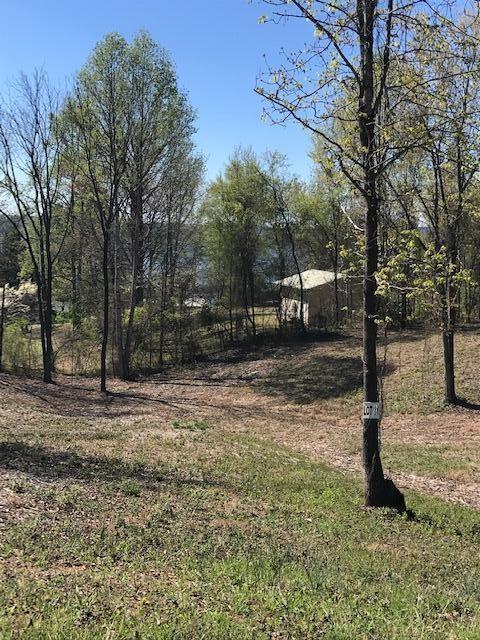 11 Piney View Drive Spring City, TN 37381 - Photo 1 of 2