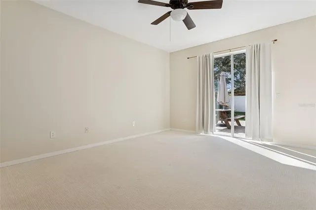 a view of a park with large trees