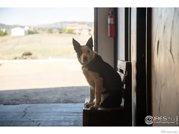 $1,990,000 | 871 South Co Road 23E, Berthoud, CO 80513