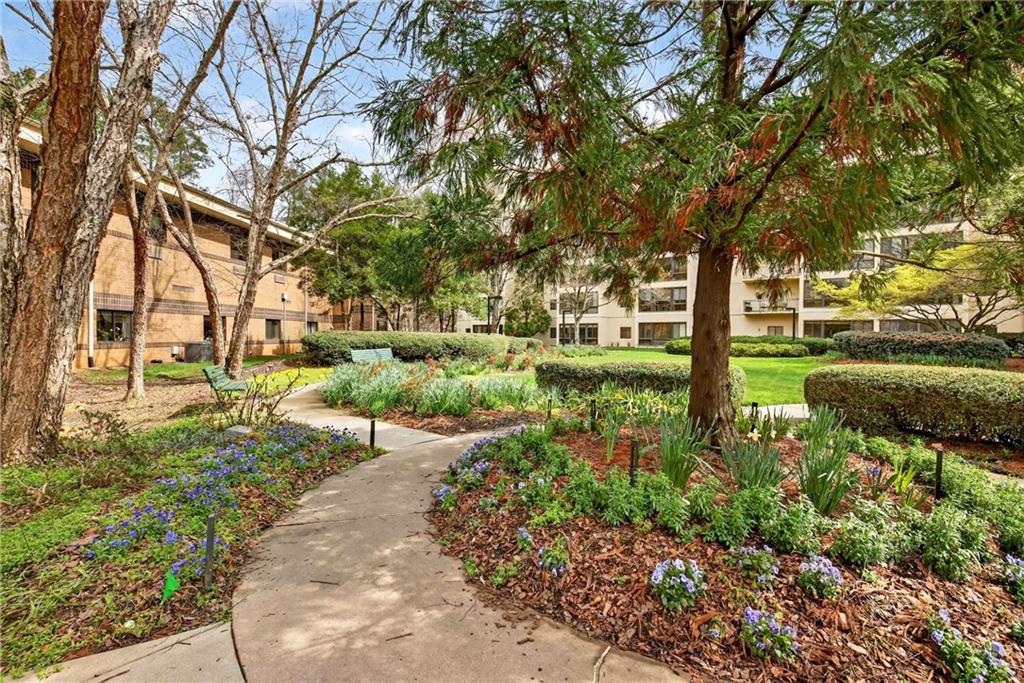 1800 Clairmont Lake, Unit A227 Decatur, GA 30033 - Photo 49 of 69 a view of a park with large trees