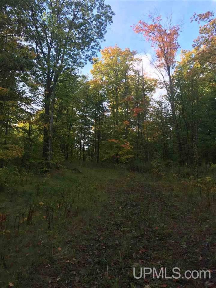 33 Makinen Road Jl Road Negaunee, MI 49866 - Photo 10 of 11