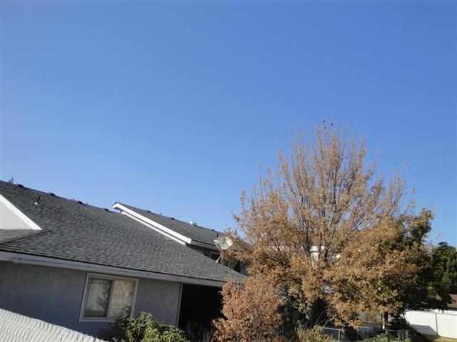 3019 South Clinton Road Spokane, WA 99216 - Photo 5 of 6 Gallery Image 5