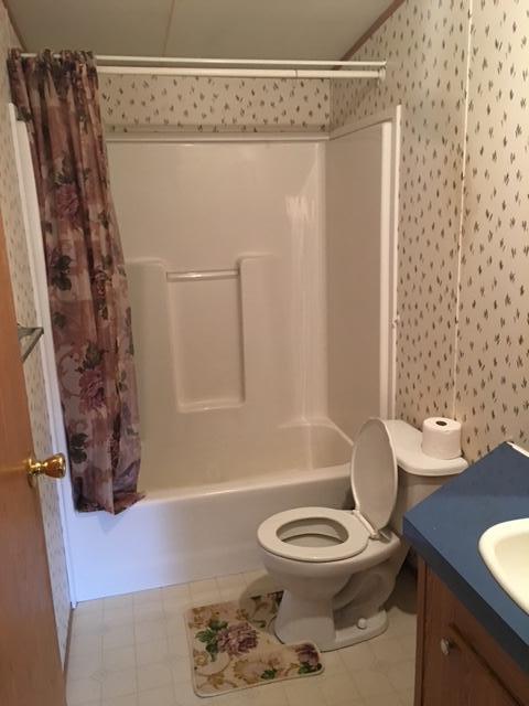 1245 McDearmon Road Montvale, VA 24122 - Photo 4 of 12 a bathroom with a sink a toilet and shower