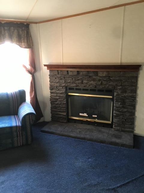 1245 McDearmon Road Montvale, VA 24122 - Photo 6 of 12 a living room with furniture a fireplace and a flat screen tv