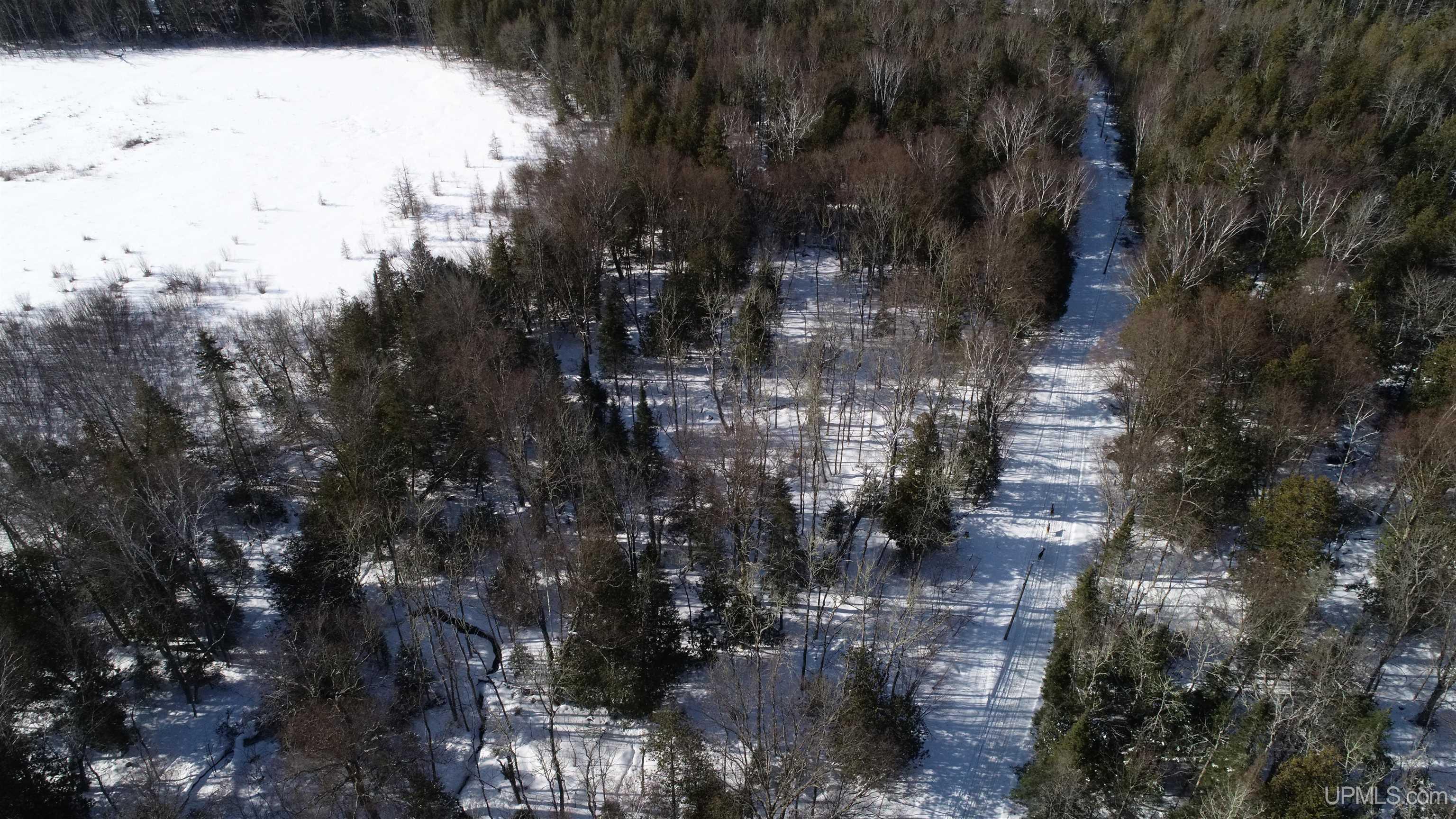 Tbd Tbd Long Point Road Curtis, MI 49820 - Photo 21 of 77