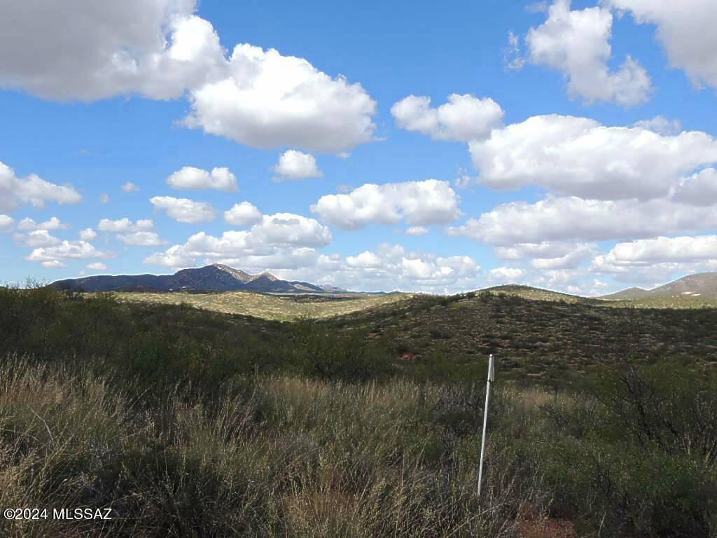 77 North Rambling Road, Unit 3/100 Elfrida, AZ 85610 - Photo 19 of 19