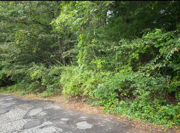 a view of a yard with plants and a white wall