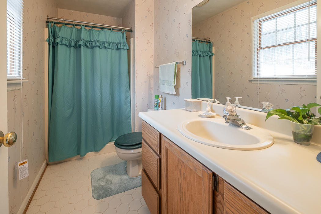 492 Bobletts Gap Road Buchanan, VA 24066 - Photo 29 of 44 Master Bath