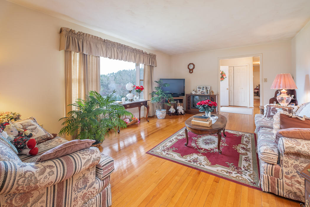 492 Bobletts Gap Road Buchanan, VA 24066 - Photo 9 of 44 Living Room 1