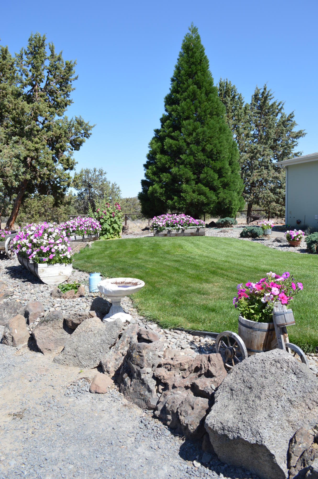 9620 Northwest Rocky Road Powell Butte, OR 97753 - Photo 15 of 21 Mitchell Joe yard picture