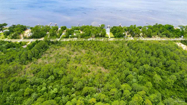 a view of a garden with a flower plants