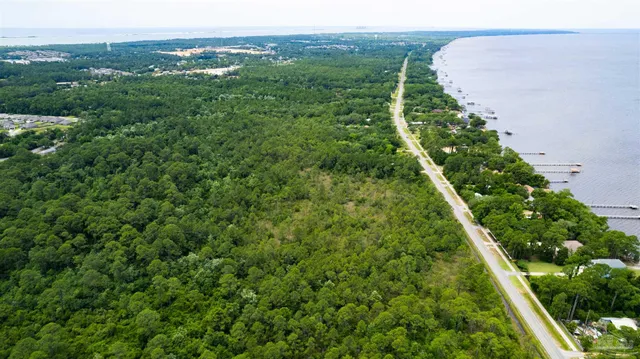 a view of a lush green forest with an trees