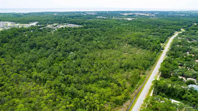 a view of a lush green forest with trees and houses