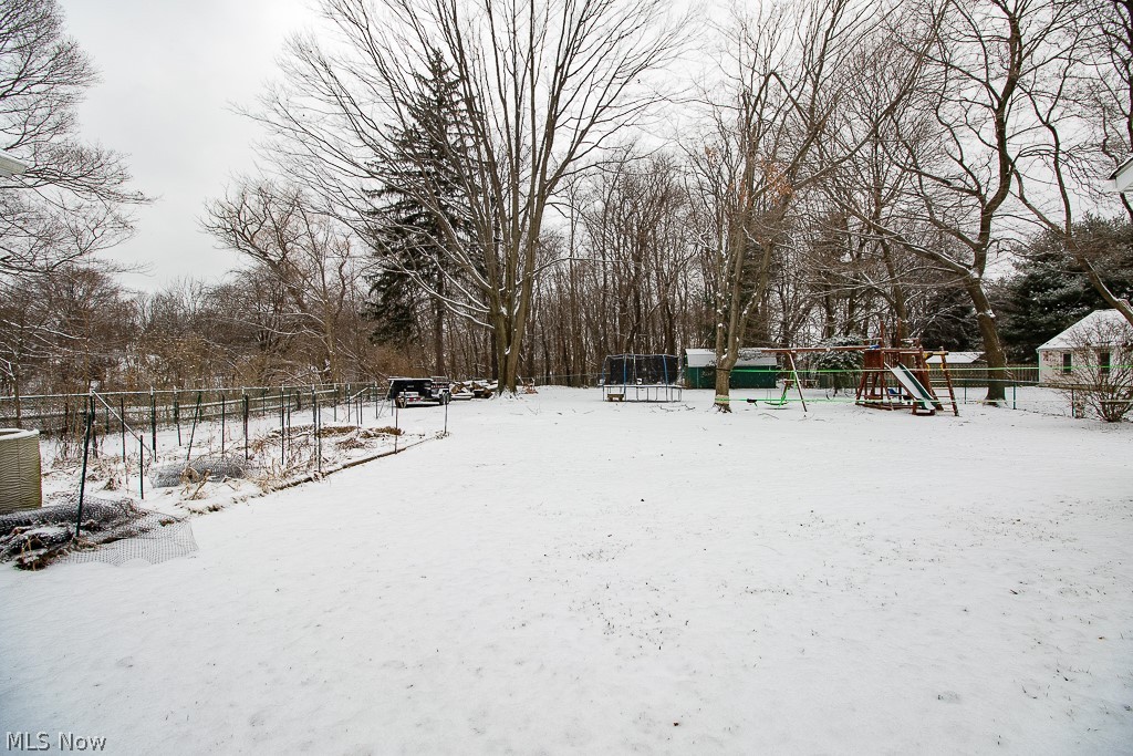 7750 Garfield Road Mentor, OH 44060 - Photo 25 of 26 Rear yard comes with garden space (includes grape vine), large shed with electricity and playground set that seller's will consider to leave behind!