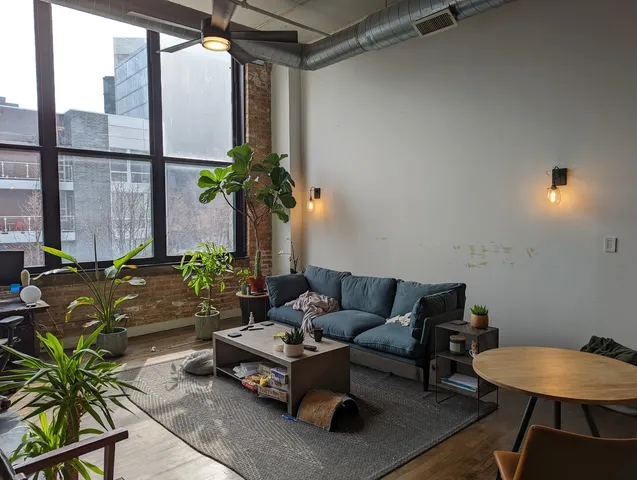 a living room with furniture and a potted plant