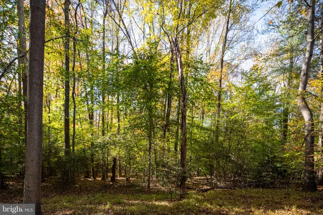 a view of a swimming pool with a yard