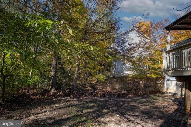 a view of a tree in a yard