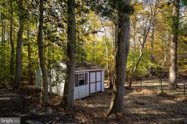 a view of a tree in the middle of a yard
