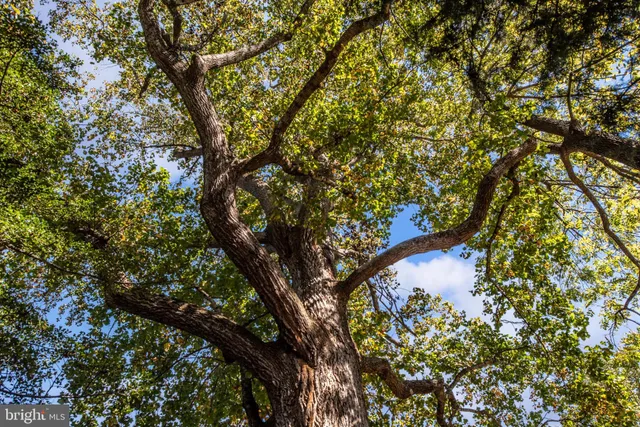 $330,000 | 8518 Tompkins Drive, King George, VA 22485